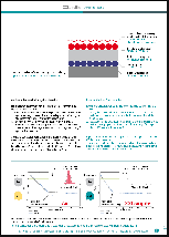 Fixtest XXL-catalogue content